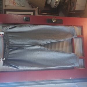 FLX Travel/Leisure/Jogger Insulated Pants